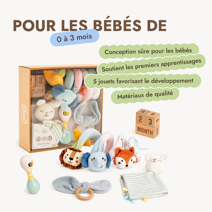 BabyBox — Coffrets de jeux pour la première année (0–12 mois)