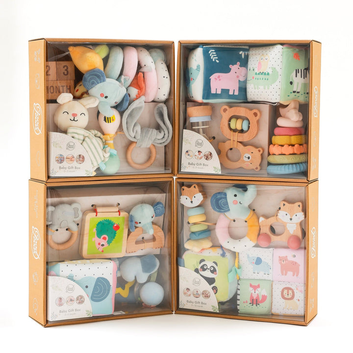 BabyBox — Coffrets de jeux pour la première année (0–12 mois) - Goodevas FR