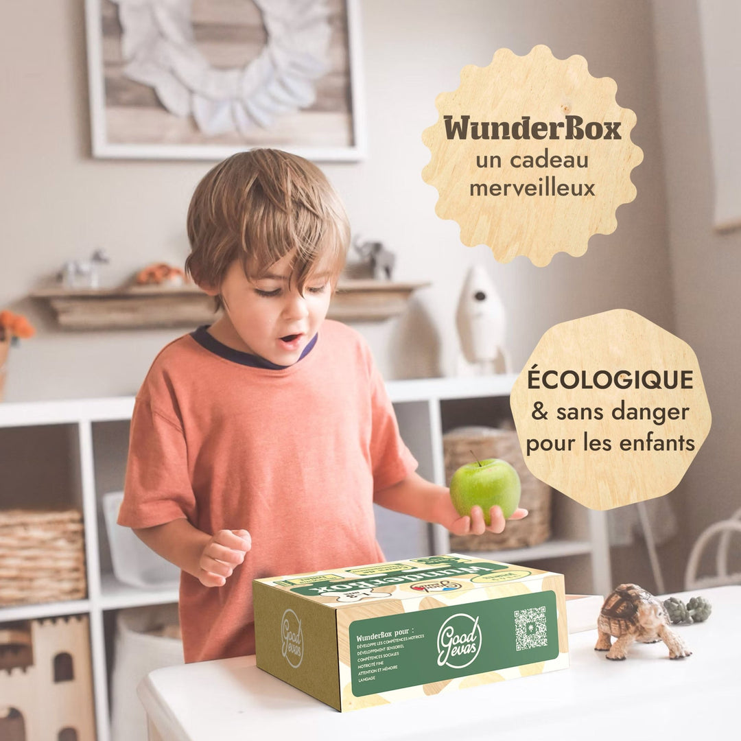 WunderBox 1–3 ans – Coffret de développement pour tout - petits - Goodevas FR