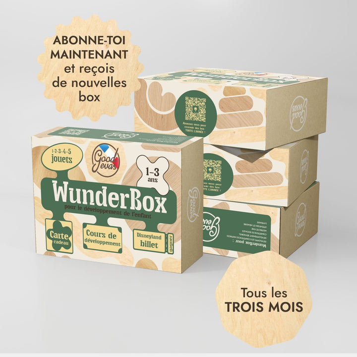 WunderBox 1–3 ans – Coffret de développement pour tout - petits - Goodevas FR